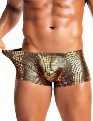 Gold  Low-rise Faux Snakeskin Men Boxer